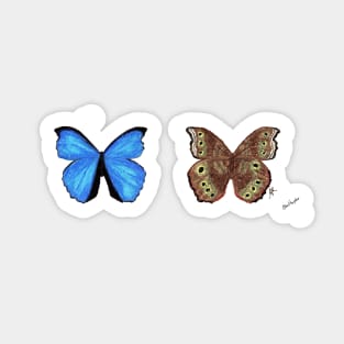 Blue Morpho Butterfly Sticker